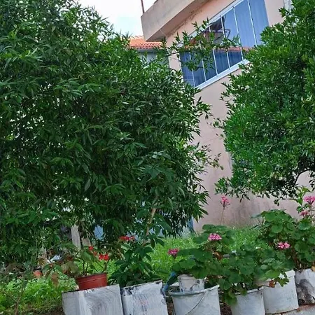 Apartament Koycegiz Olive Apart Muğla