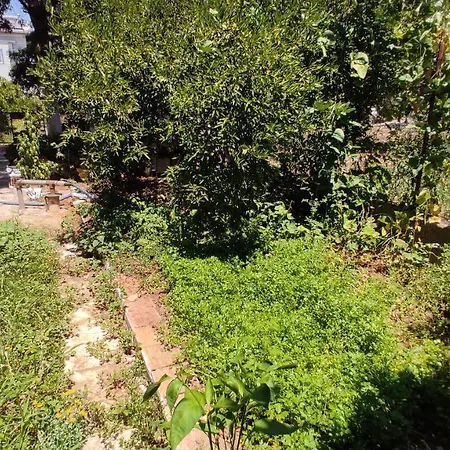 Koycegiz Olive Apart Apartament *