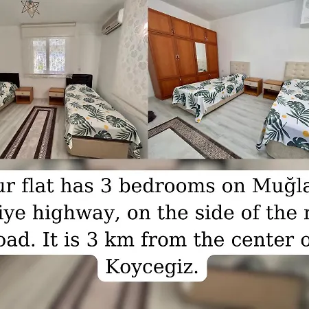 Koycegiz Olive Apart *